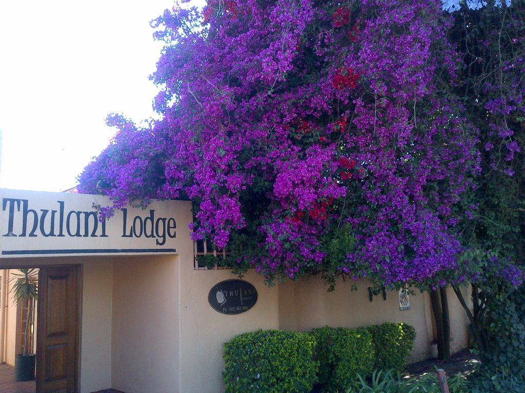 Thulani Lodge Johannesburg Ngoại thất bức ảnh